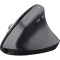 Mouse Trust Bayo + Ergonomic, BT/WL/USB-A, black