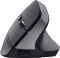 Mouse Trust Bayo + Ergonomic, BT/WL/USB-A, black