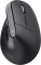 Mouse Trust Bayo + Ergonomic, BT/WL/USB-A, black