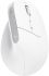 Mouse Trust Bayo+ Multidevice Ergonomic, BT/WL/USB-A, біла