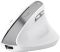 Миша Trust Bayo II Ergonomic, WL, білий