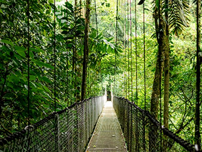 HP Notebook Probook 4-G1a 14" WUXGA IPS, AMD R3-210, 24GB, F512GB, UMA, DOS, silver